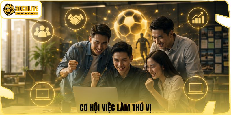 Cơ hội việc làm thú vị